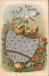 Easter Greeting - Chicks coming out of an egg Postcard