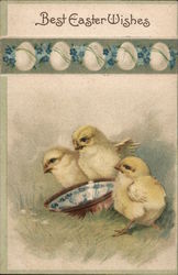 Best Easter Wishes With Chicks Postcard Postcard Postcard