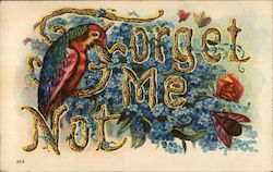 Forget Me Not Birds Postcard Postcard Postcard