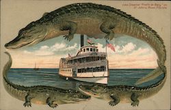 Alligator Border S543 Steamer "Fred'k de Barg" on St. John's River Florida Postcard Postcard Postcard