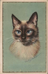 Siamese cat Cats Postcard Postcard Postcard