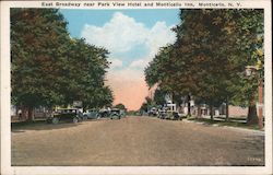 East Broadway near Park View Hotel and Monticello Inn New York Postcard Postcard Postcard