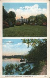 Magnolia on the Ashley Charleston, SC Postcard Postcard Postcard