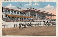 The Parade of the Horses at Grand Stand, Agua Caliente Tijuana, Mexico Postcard Postcard Postcard