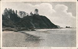 Seal ROcks at Long Beach Washington Postcard Postcard Postcard