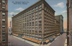 Marshall Field & Co., Retail Store Postcard