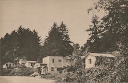 Oceanview Terraces - Modern Motel - Hwy 101-4 Mi. So. Crescent City, CA Postcard Postcard Postcard