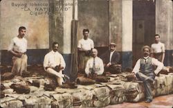 Buying Tobacco - La Natividad Cigar Factory Postcard