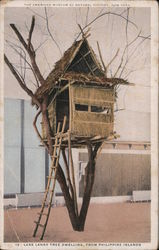 Lake Lanao Tree Dwelling, from Philippine Islands Philippines Postcard Postcard Postcard