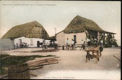 Labourer's Dwellinghouse on a Tobacco Plantation Postcard