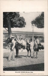 Poultry venders from Havana Cuba Postcard Postcard Postcard