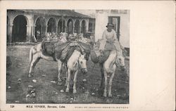 Milk Vendor Havana, Cuba Postcard Postcard Postcard