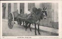 Spanish Dray Havana, Cuba Postcard Postcard Postcard