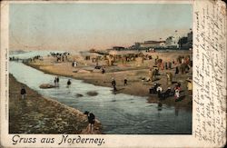 Greetings from Norderney Germany Postcard Postcard Postcard