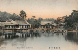 (M19) Rakurakuen at Hikone Japan Postcard Postcard Postcard