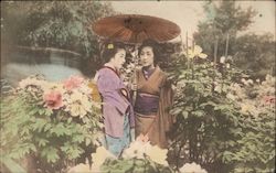 Two women wearing kimono in the garden, under an umbrella Japan Postcard Postcard Postcard