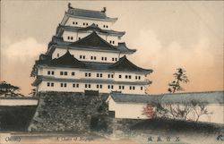 Japanese Castle Nagoya, Japan Postcard Postcard Postcard