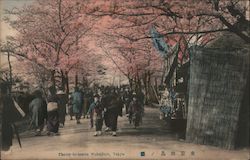 Cherry-blossoms Mukojima, Tokyo Postcard