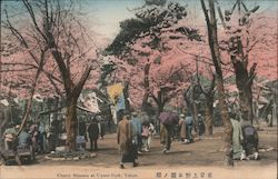 Cherry Blossom at Uyeno Park, Tokyo Japan Postcard Postcard Postcard