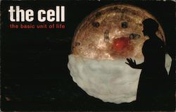 The Cell the Basic unit of life California Disney Postcard Postcard Postcard