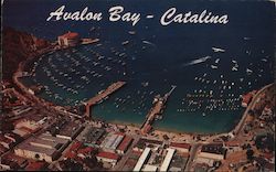 Avalon - Catalina Island Postcard