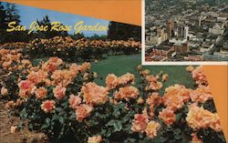 San Jose Rose Garden Postcard