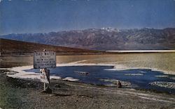 Bad Water, 279.6 Ft Below Sea Level, Death Valley National Monument California Postcard Postcard Postcard