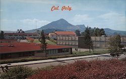 Cal Poly California State Polytechnic College Postcard