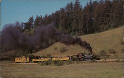 Roaring Camp Postcard