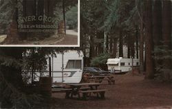 River Grove Park in the Redwoods Travel Trailers - Campers Postcard