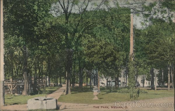 The Park Medina, OH Postcard