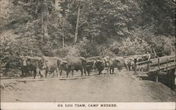 OX LOG TEAM, CAMP MEEKER Postcard