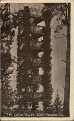 The Living Tower Camp Meeker, CA Postcard Postcard Postcard