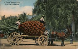 A Good Wagon Load, Florida Pineapple Postcard