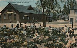 One of the Many Flower Gardens Under the Individual Care of San Diego School Children Postcard