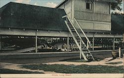 Whale, Long Beach Postcard