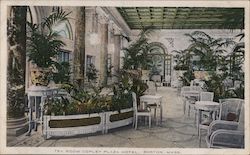 Tea Room, Copley Plaza Hotel Boston, MA Postcard Postcard Postcard