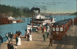 Steamer "Idaho" at the Electric Dock Postcard