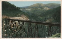 Railroad Trestle In the Bitter Root Mts. Idaho Railroad (Scenic) Postcard Postcard Postcard