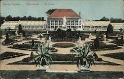 Show's Garden - Palm House Postcard