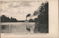 Scene on Pocomoke River Pocomoke City, MD Postcard Postcard Postcard