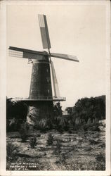 Dutch Windmill, Golden Gate Park Postcard