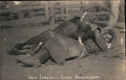 Iola Ingles - Lady Bulldoger Rodeos Postcard Postcard Postcard