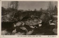 Vine Arch Bridge, Central Park New York, NY Postcard Postcard Postcard