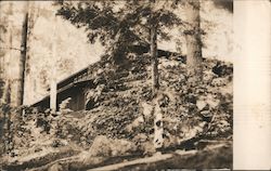 View up through trees of large house Postcard