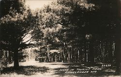 Scene in Tourist Park Postcard