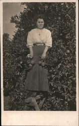 A woman standing in front of fruit trees while holding fruit. Postcard