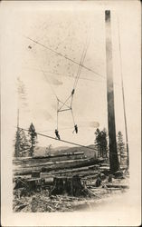 Loggers on Crane Logging Postcard Postcard Postcard