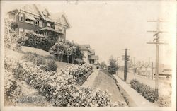 Street with large Victorian-style houses on hills with prominent ornamental gardens and large utility poles Buildings Postcard P Postcard