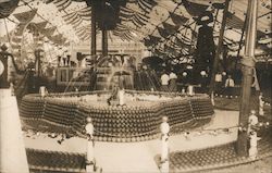 National Orange Show. Citrus exhibit, fountain, ferris wheel San Bernardino, CA Postcard Postcard Postcard